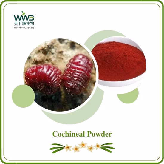 Polvere di alfa ciclodestrina CAS 10016-20-3 dell'ingrediente alimentare farmaceutico del grado cosmetico